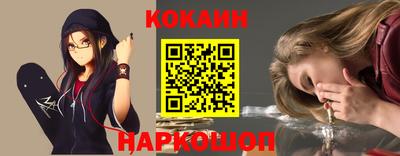 гашик Гатчина