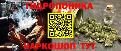прущий лед Гай