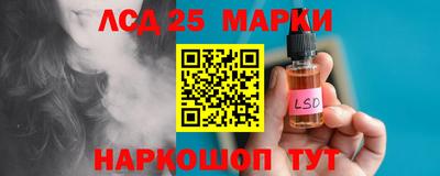 гашик Гатчина