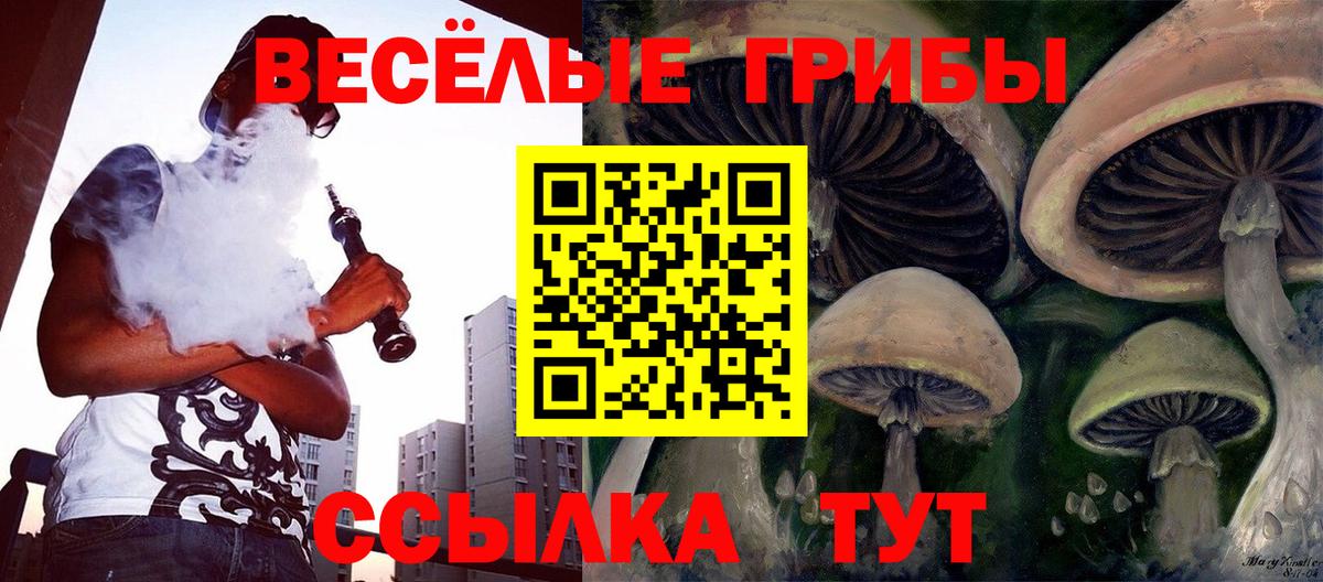 Похвистнево  закладки  Вход с VPN  Псилоцибиновые грибы GOLDEN TEACHER 